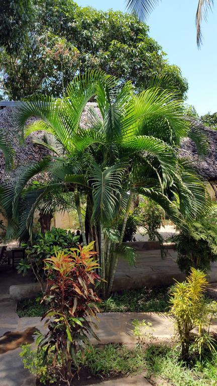 Vila Jamboland-Diani Diani Beach Exteriér fotografie